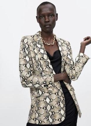 Костюм zara в змеиный принт