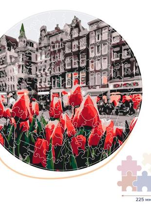 Тюльпани амстердама (розмер s)
