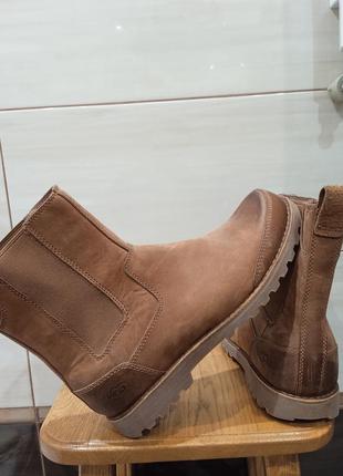 Черевики ugg3 фото