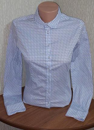 Ніжна приталена сорочка блакитного кольору в білий горошок eterna slim fit made in romania