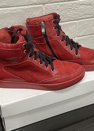 Хайтопи ботінки снікерси roberto