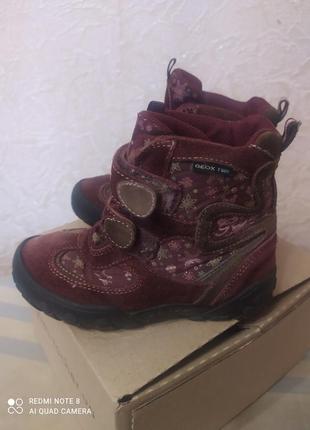 Черевики для дівчинки, geox