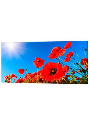 Картина на полотні на стіну для інтер`єру/спальні/прихожої dk поле маків (dkp4560-c189)