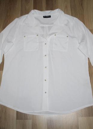 Блуза karl lagerfeld