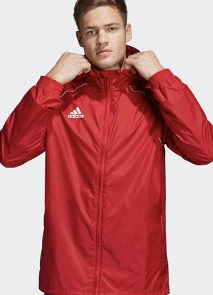 Чоловіча вітровка adidas1 фото