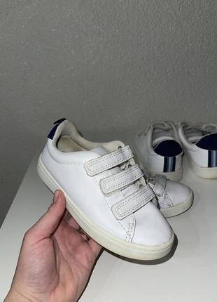 Кеди h&m