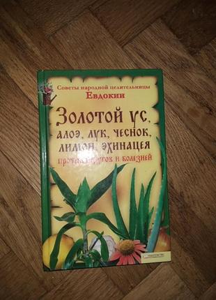 "советы народной целительницы евдокии"