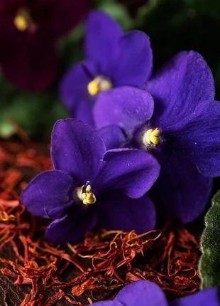 Аромат для свічки та мила чорна фіалка та шафран (candlescience black violet and saffron)1 фото