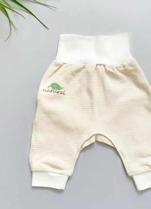 Штаны для новорожденного на еврорезинке тм бемби шр607 р.50