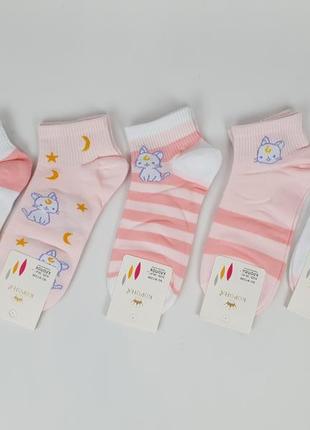 Короткі жіночі шкарпетки з котами набір 5 пар. літні шкарпетки з тваринами. шкарпетки з бавовни з котиками1 фото