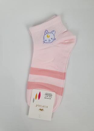 Короткі жіночі шкарпетки з котами набір 5 пар. літні шкарпетки з тваринами. шкарпетки з бавовни з котиками3 фото