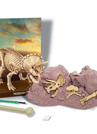 Набір для розкопок 4m скелет трицератопса (00-03228)1 фото
