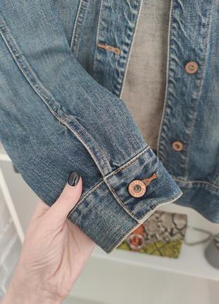 Джинсовка джинсівка куртка джинова денім деним синя стильна екстра якісна gap5 фото