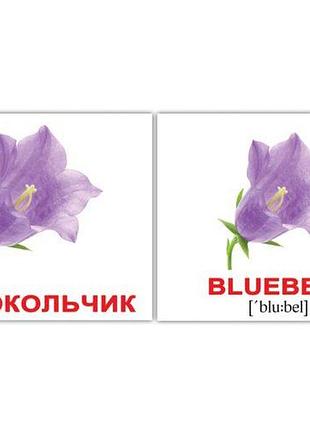Мини карточки (рус.-англ.) "цветы/flowers", 476328