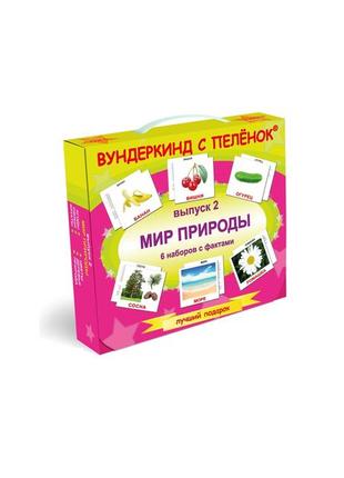 Подарочный н-р №2 "мир природы" (фрукты, овощи, ягоды, цветы, деревья, природа) рус 095221