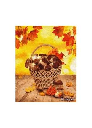 Картина по номерам "лесные дары", 40*50 см, кно5601