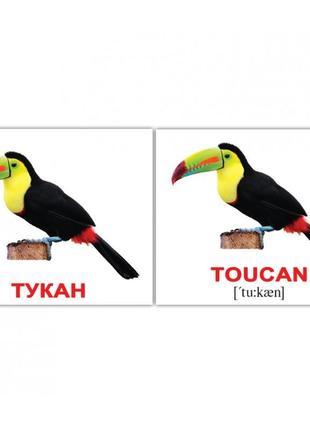 Картки міні російсько-англійські "птахи/ birds" , вундеркінд з пелюшок", 445316