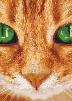 Картина по номерам art craft "зелёные глаза", 40*50см, 11620