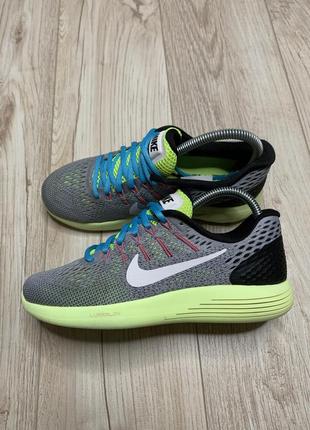 Кросівки жіночі  nike flex motion slide grey and green hair gris