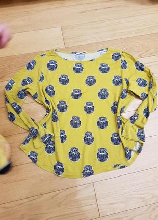 Реглан футболка совушки, цвет намного ярче