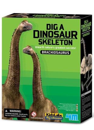 Набір для розкопок 4m скелет брахиозавра (00-03237)1 фото