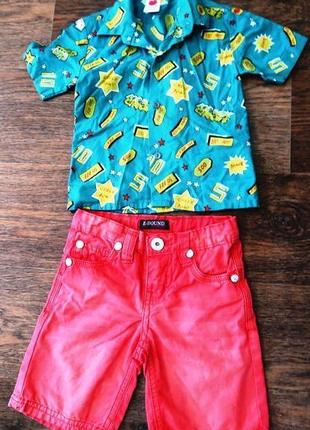 Яркий летний костюм рубашка и шорты