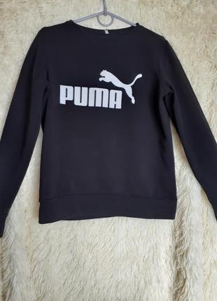 Кофта спортивна puma4 фото