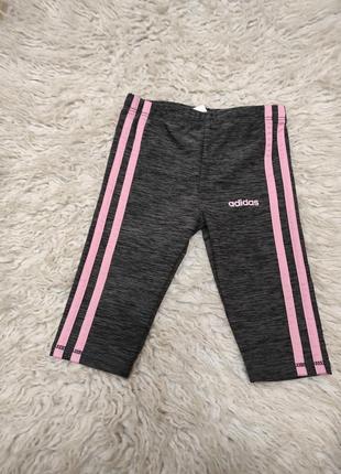 Велосипедки , лосіни , шорти adidas