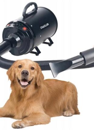 Сушарка фен для собак і кішок 2400вт pet dryer
