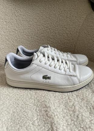 Кроссовки lacoste2 фото