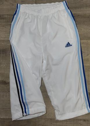 Бриджі adidas