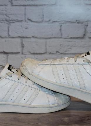 Кросівки adidas superstar1 фото