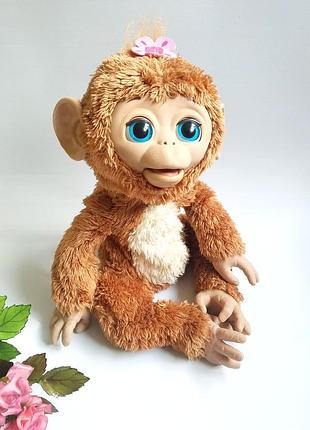 Інтерактивна змішуючи мавпочка hasbro furreal friends