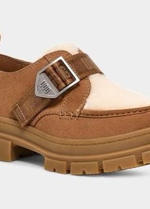 Жіночі черевики ashton shoe suede | ugg3 фото