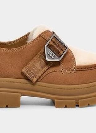 Жіночі черевики ashton shoe suede | ugg2 фото