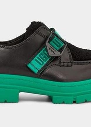 Жіночі черевики ashton shoe suede | ugg7 фото