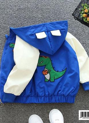 Вітрівка весна/осінь