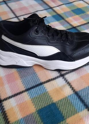 Кросівки puma