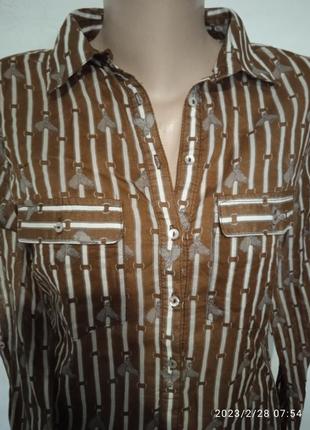 Базовая хлопковая блуза2 фото