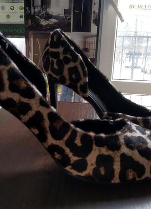 Туфлі стильні