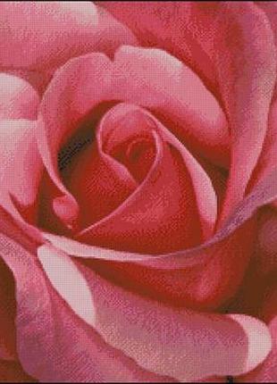 Набір для вишивки хрестиком. розмір:   40*40 см/33*33 см троянда