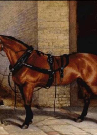 Набор для вышивки крестиком. размер: 60*43 см