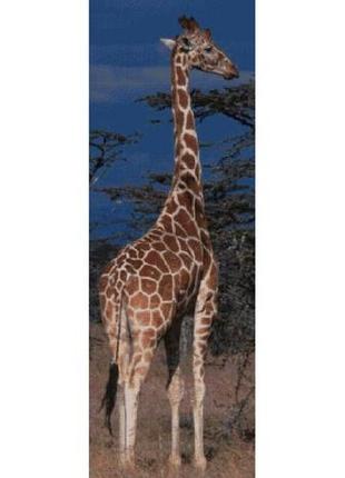 Набор для вышивки крестиком. размер: 24*68 см