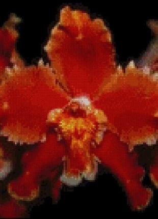 Набор для вышивки крестиком. размер: 24*22 см