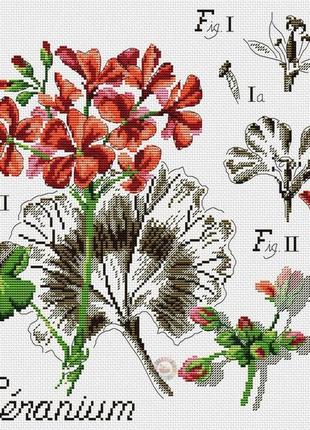 Набор для вышивания крестиком герань. размер: 26,5*27 см