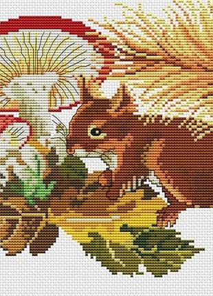 Набор для вышивания крестиком белочка. размер: 24,5*16,5 см