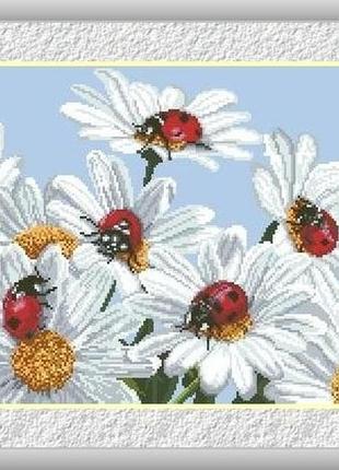 Набір для вишивання хрестиком ромашки. розмір: 29,7*23 см