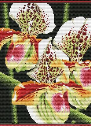 Набір для вишивання хрестиком орхідеї. розмір: 25,5*25,5 см