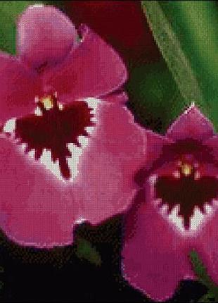 Набор для вышивки крестиком. размер: 32*27 см