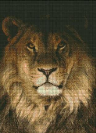 Набір для вишивання хрестиком. розмір: 24*27 см